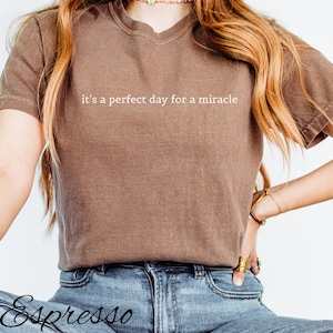 May include: A brown t-shirt with the text "it's a perfect day for a miracle" printed on the front.
