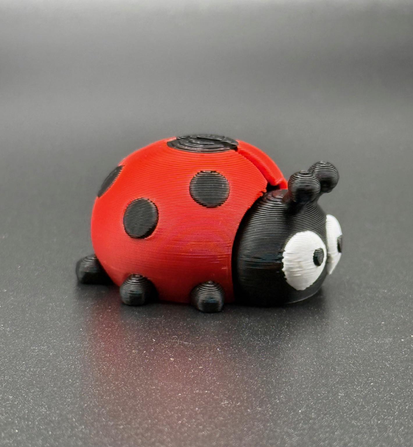 Ladybug Flexi Pocket Pet - Etsy