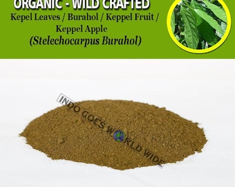 POWDER Kepel Leaves Burahol Keppel Fruit Keppel Apple Stelechocarpus Burahol Organic WildCrafted Fresh Natural Herbs FREE SHIPPING