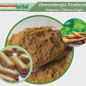 Capsule Of  Pure Fingeroot Chinese Ginger (Boesenbergia Pandurata) 600mg Organic WildCrafted Fresh Natural