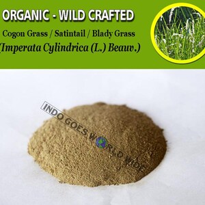 POWDER Pure Of Cogon Grass Roots Satintail Blady Grass Imperata Cylindrican Organic WildCrafted Fresh Natural Herbs Herbal FREE SHIPPING
