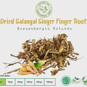 Dried Galangal Ginger Finger Root Boesenbergia Rotunda Premium Quality Organic Herb Spices Fresh Pure