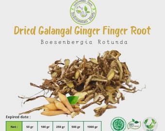Dried Galangal Ginger Finger Root Boesenbergia Rotunda Premium Quality Organic Herb Spices Fresh Pure