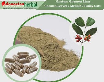 Capsule Of Gnemon Leaves Melinjo Paddy Oats (Gnetum Gnemon Linn.) Organic  Natural Herbs