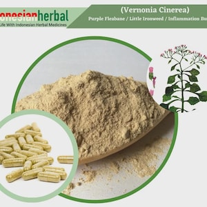 Può includere: Primo piano di un cucchiaio di legno pieno di polvere marrone chiaro. La polvere è etichettata come Vernonia Cinerea, nota anche come Fleabane viola, Little Ironweed e Inflammation Bush. L'immagine mostra anche capsule piene di polvere.