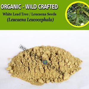 POWDER White Leadtree Seeds / River Tamarind / Subabul / White Popinac Leucaena Leucocephala Organic WildCrafted Fresh Natural Herbs
