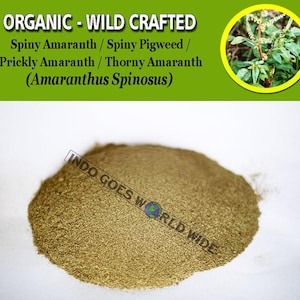 POWDER Spiny Amaranth Amaranthus Spinosus Spiny Pigweed Prickly Amaranth Thorny Amaranth Amaranthus Spinosus Organic Wild Crafted