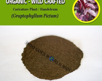 POWDER Caricature Plant Handeleum Graptophyllum Pictum All Fresh 100% Natural Organic Wild Crafted Herb