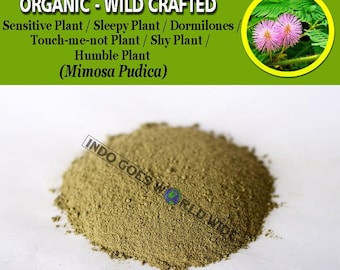 Poudre De Graines De Mimosa Pudica (Lajwanti) - Complément Ayurvédique - Santé Sexuelle
