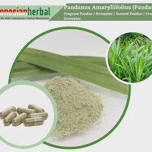 Capsule Of  Pure Pandan Leaves Screwpine Scented Pandan Fragrant Screwpine (Pandanus Amaryllifolius)