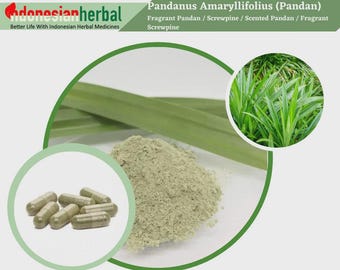 Pode incluir: Folhas verdes de Pandanus amaryllifolius, pó e cápsulas. Pandanus Amaryllifolius (Pandan) Pandan fragrante / Screwpine / Pandan perfumado / Screwpine fragrante.