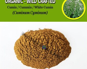 POWDER Cumin White Cumin Cuminum Cyminum Organic WildCrafted Fresh Natural Herbs spices Indonesian herbal