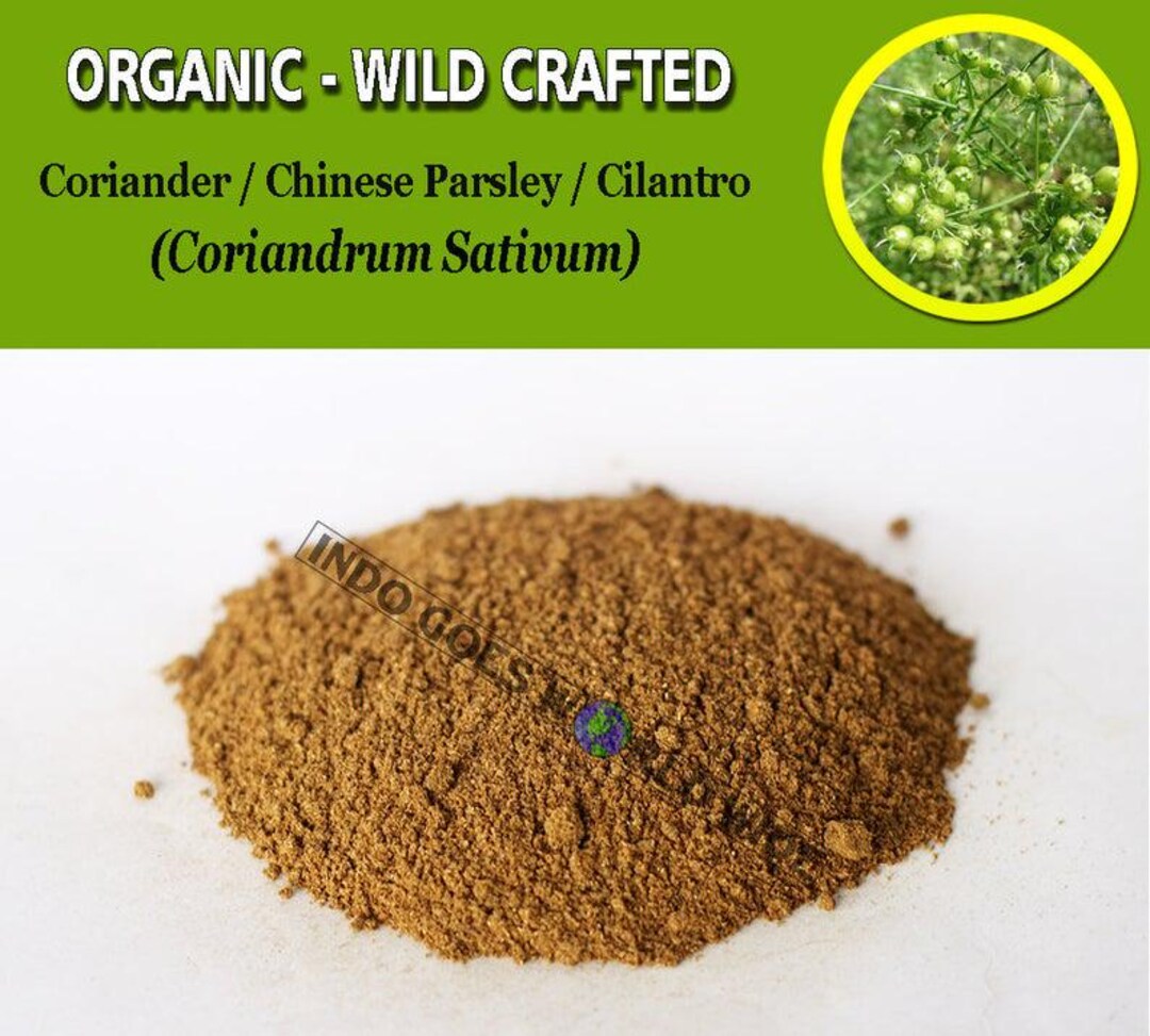 POWDER Coriander Cilantro Chinese Parsley Coriandrum Sativum Organic ...