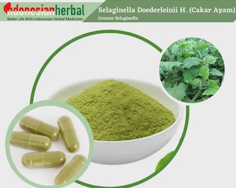Capsule Of  Pure Greater Selaginella (Selaginella Doederleinii Hieron) Organic  Natural Herbs