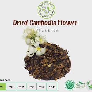 Dried Cambodia Flower Plumeria Organic Herb Spices Fresh Pure Hygienic Premium