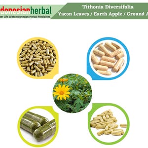 Capsule Of Yacon Leaves Earth Apple Ground Apple Peruvian Ground Apple Potato Bean Tithonia Diversifolia 600 mg Pure
