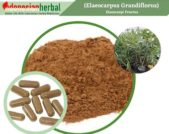 Capsule Of PURE Elaeocarpi Fructus (Elaeocarpus Grandiflorus) Organic WildCrafted Herbs Supplement