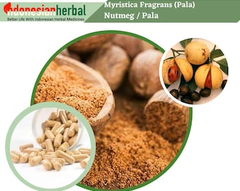 Capsule Of Nutmeg Pala (Myristica Fragrans) Organic WildCrafted Fresh Natural Herbs