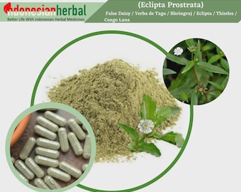 Capsule Of False Daisy Yerba de Tago Eclipta Thistles Congo Lana (Eclipta Prostrata) 600mg Organic WildCrafted Fresh Natural