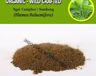 POWDER Pure Of Sambong Leaves Ngai Camphor Blumea Balsamifera Organic WildCrafted Fresh Natural Herbs Herbal FREE SHIPPING
