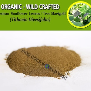 POWDER Yacon Leaves Earth Apple Ground Apple Peruvian Ground Apple Potato Bean Smallanthus Sonchifolius Organic WildCrafted Natural Herbs