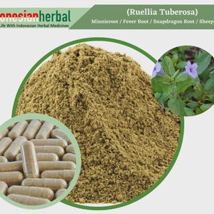 Capsule Of  Pure Minnieroot Snapdragon Root (Ruellia Tuberosa) 600mg Organic WildCrafted Fresh Natural Herbs Supplement