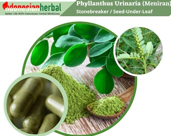 HERBAL CAPSULES Phyllanthus Urinaria Stonebreaker Chamber Bitter Meniran 600 mg