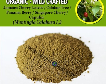 PULVER Kersonblad Jamaicakörsbär Calaburträd Capulin Panamabär Singaporekörsbär Muntingia Calabura Organiska vildvuxna naturliga örter