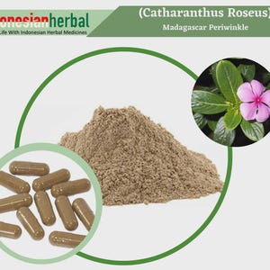 May include: Brown powder in a pile with brown capsules. The plant Catharanthus roseus, also known as Madagascar Periwinkle, is shown in a circle in the upper right corner of the image.