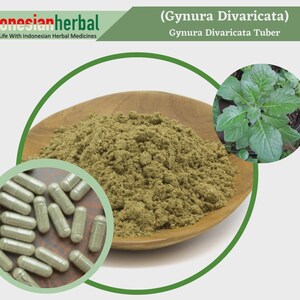 Capsule Of Pure Gynura Divaricata Tuber (Gynura Divaricata) 600mg Organic WildCrafted Fresh Natural