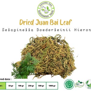 Dried Juan Bai Leaf Dry Selaginella Doederleinii Hieron Premium Organic Herbs Spices Fresh Pure Infused tea