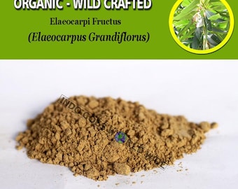 POWDER Elaeocarpi Fructus Elaeocarpus Grandiflorus Organic WildCrafted Fresh Natural Herbs FREE SHIPPING