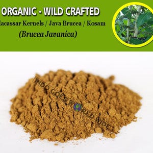 POWDER Macassar Kernels Java Brucea Kosam Brucea Javanica Organic WildCrafted Fresh Natural Herbs