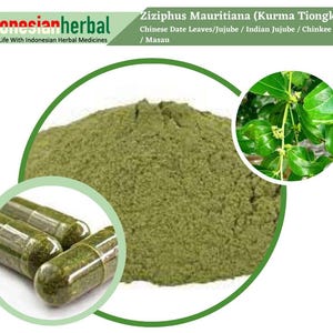 Capsule Of Pure Chinese Date Leaves Jujube Indian Jujube Chinkee Apple Masau  (Ziziphus Mauritiana)