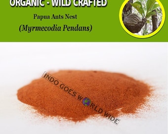 POWDER Papua Ant Nest Myrmecodia Pendans Organic WildCrafted Fresh Natural Herbs FREE SHIPPING