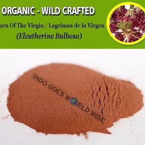 POWDER Pure Of Tears Of The Virgin Lagrimas de la Virgen Eleutherine Bulbosa Organic WildCrafted Fresh Natural Herbs FREE SHIPPING