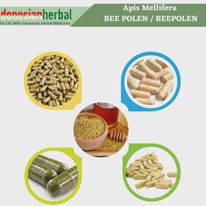 Kapsel med BEE POLEN BEEPOLEN (Apis Mellifera) 600 mg ren