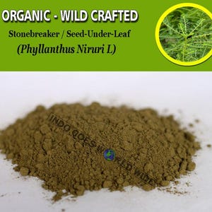 Può includere: Primo piano di un mucchio di polvere marrone, etichettato "ORGANIC - WILD CRAFTED Stonebreaker / Seed-Under-Leaf (Phyllanthus Niruri L)".
