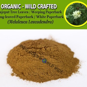POWDER Cajeput Tree Leaves Weeping Paperbark Long-leaved Paperbark White Paperbark Melaleuca Leucadendra Organic WildCrafted Natural Herbs