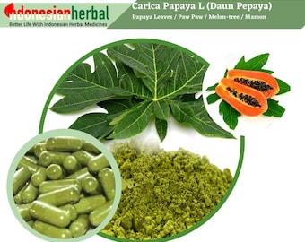 Capsule Of  Papaya Leaves Paw Paw Melon-tree Mamon (Carica Papaya L.)