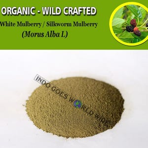 POWDER White Mulberry Silkworm Mulberry Morus Alba Organic WildCrafted Fresh Natural Herbs FREE SHIPPING