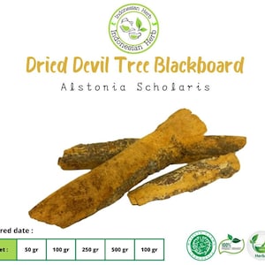 Pizarra de árbol del diablo seco Alstonia Scholaris Especias de hierbas orgánicas frescas y puras