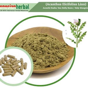 Capsule Of  PURE Acanthi Radix  Sea Holly Roots Holy Mangrove (Acanthus Ilicifolius Linn) Organic WildCrafted Herbs Supplement