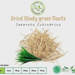 Dried Blady Grass  Roots Imperata Cylindrica Organic Herb Spices Fresh Pure Premium