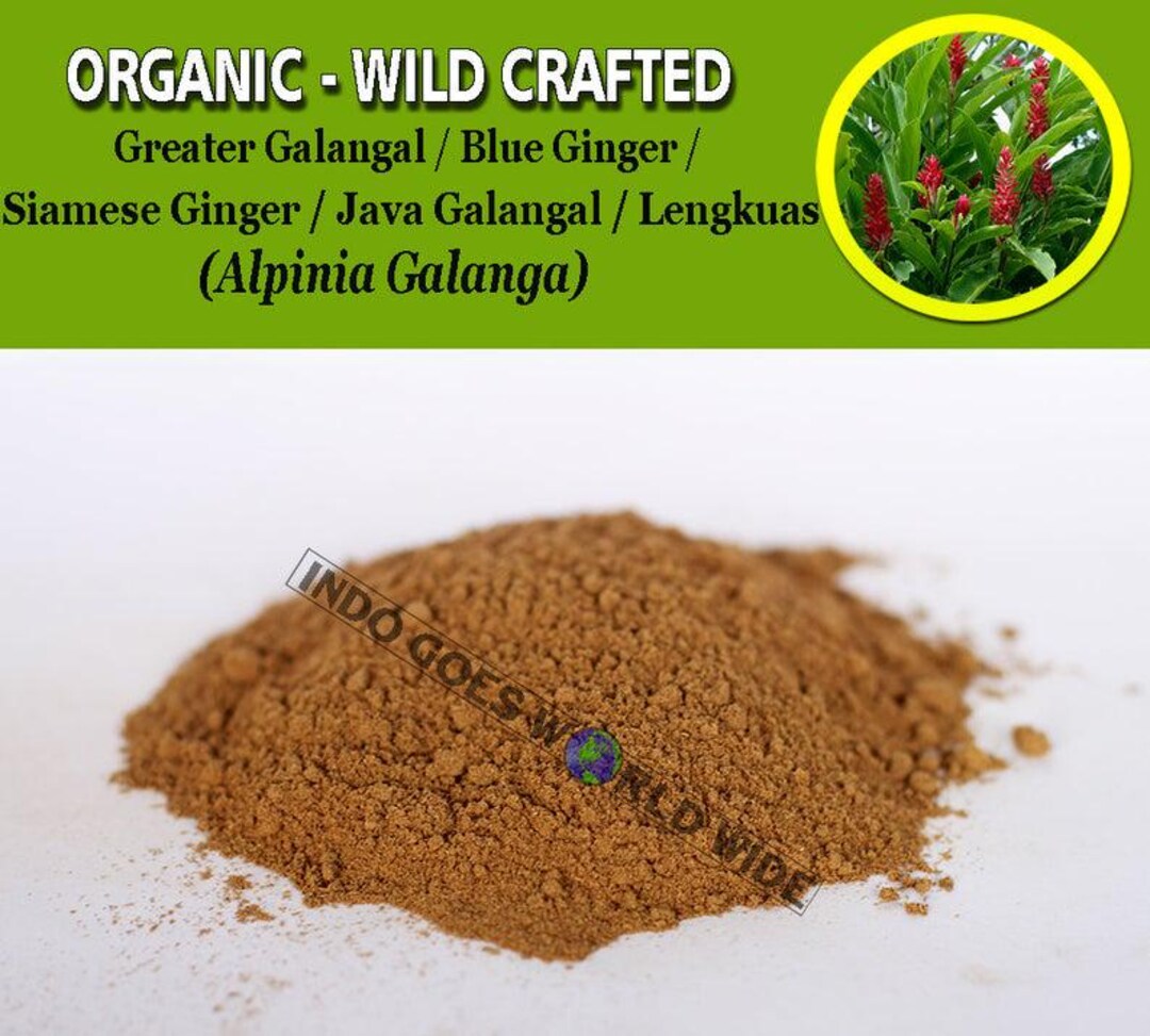 POWDER Greater Galangal Blue Ginger Siamese Ginger Java Galangal ...