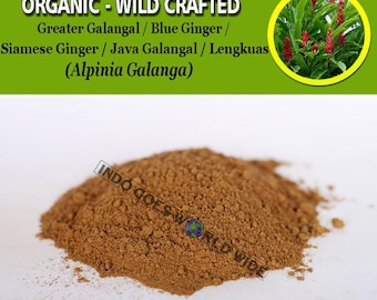 PÓ Maior Galanga Azul Gengibre Siamês Gengibre Java Galangal Lengkuas Alpinia Galanga Ervas Naturais Orgânicas WildCrafted FRETE GRÁTIS