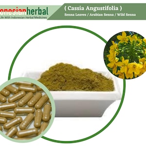 Capsule Of  PURE Senna Leaves Arabian Senna Wild Senna  (Cassia Angustifolia) Organic