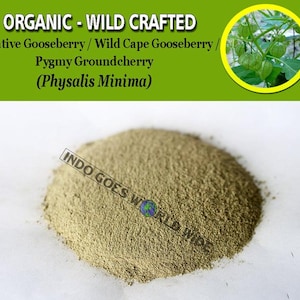 POWDER Native Gooseberry Ciplukan Physalis Peruviana Organic WildCrafted Fresh Natural Herbs FREE SHIPPING