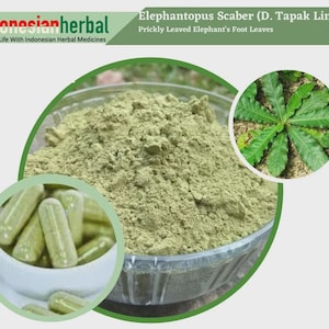 Capsule Of Prickly Leaved Elephant&#39;s Foot Leaves (Elephantopus Scaber) Organic Fresh Natural Herbs