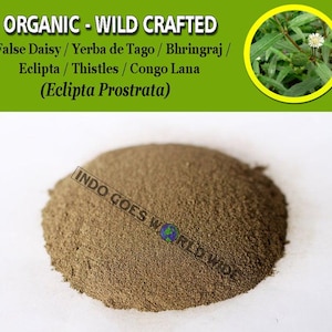 POWDER False Daisy Yerba de Tago Bhringraj Eclipta Thistles Congo Lana Eclipta Prostrata Organic WildCrafted Natural Herbs FREE SHIPPING